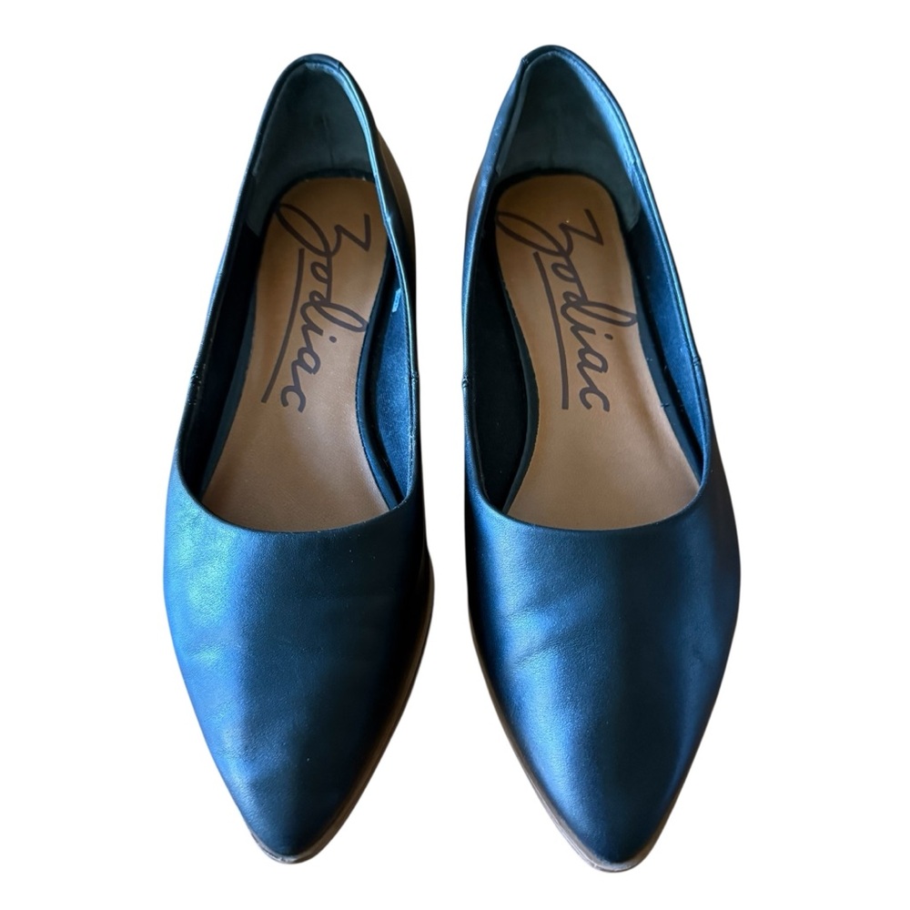 Zodiac Leather Pointed Toe Flats Black Slip-On Shoes Size 7